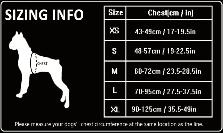 True Love Heavy Duty Sports Dog Harness - Blue, L-1