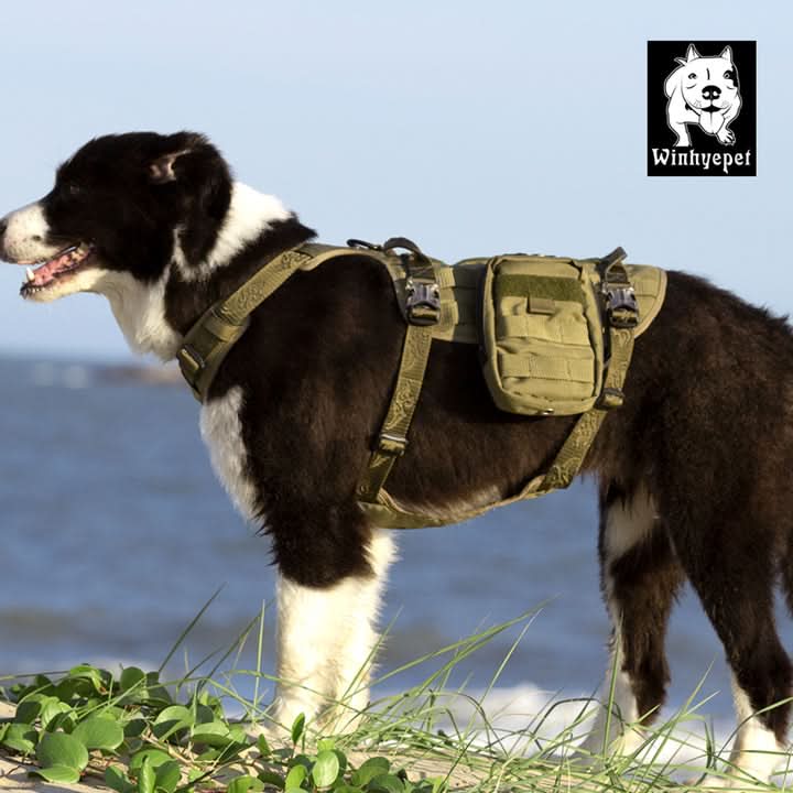 Whinhyepet Military Harness - Army Green, L-2
