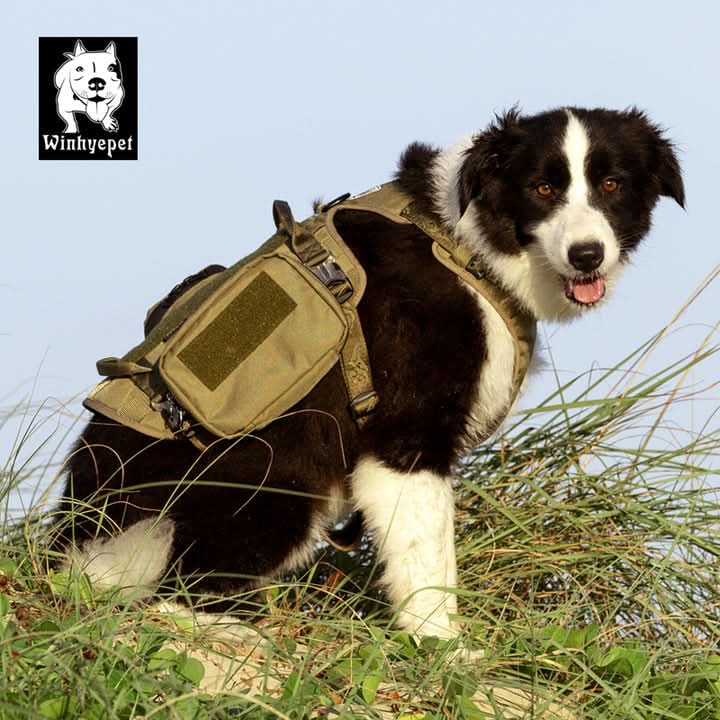 Whinhyepet Military Harness - Army Green, L-3