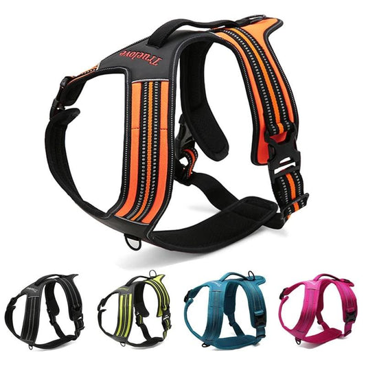 True Love Heavy Duty Sports Dog Harness - Blue, L-0