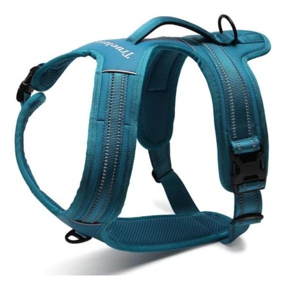 True Love Heavy Duty Sports Dog Harness - Blue, L-2